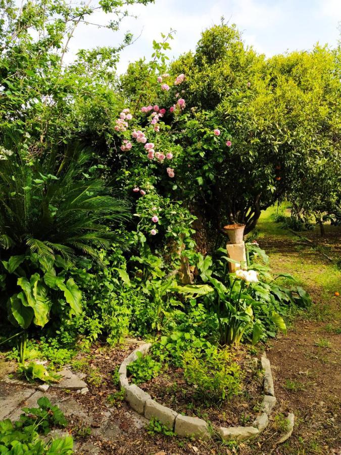 Aricelle Speziali Bed & Breakfast Specchia Gallone Exterior photo